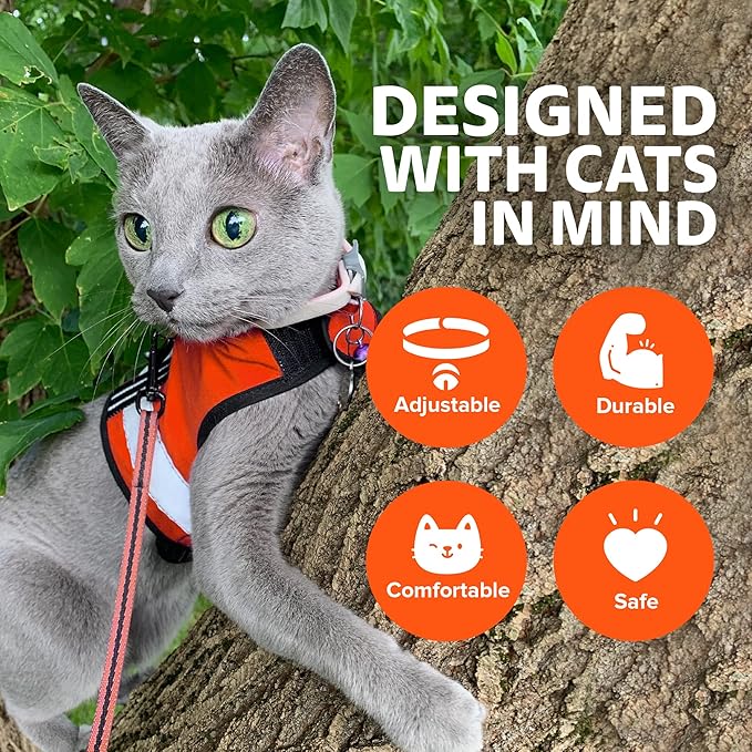 Kitty Holster Reflective Cat Harness – High-Visibility Cat Harness for Travel, Day and Night Walking - Soft Cotton Cat Accessories, Breathable, Secure & Washable, Made in USA-Outrageous Orange, M to L