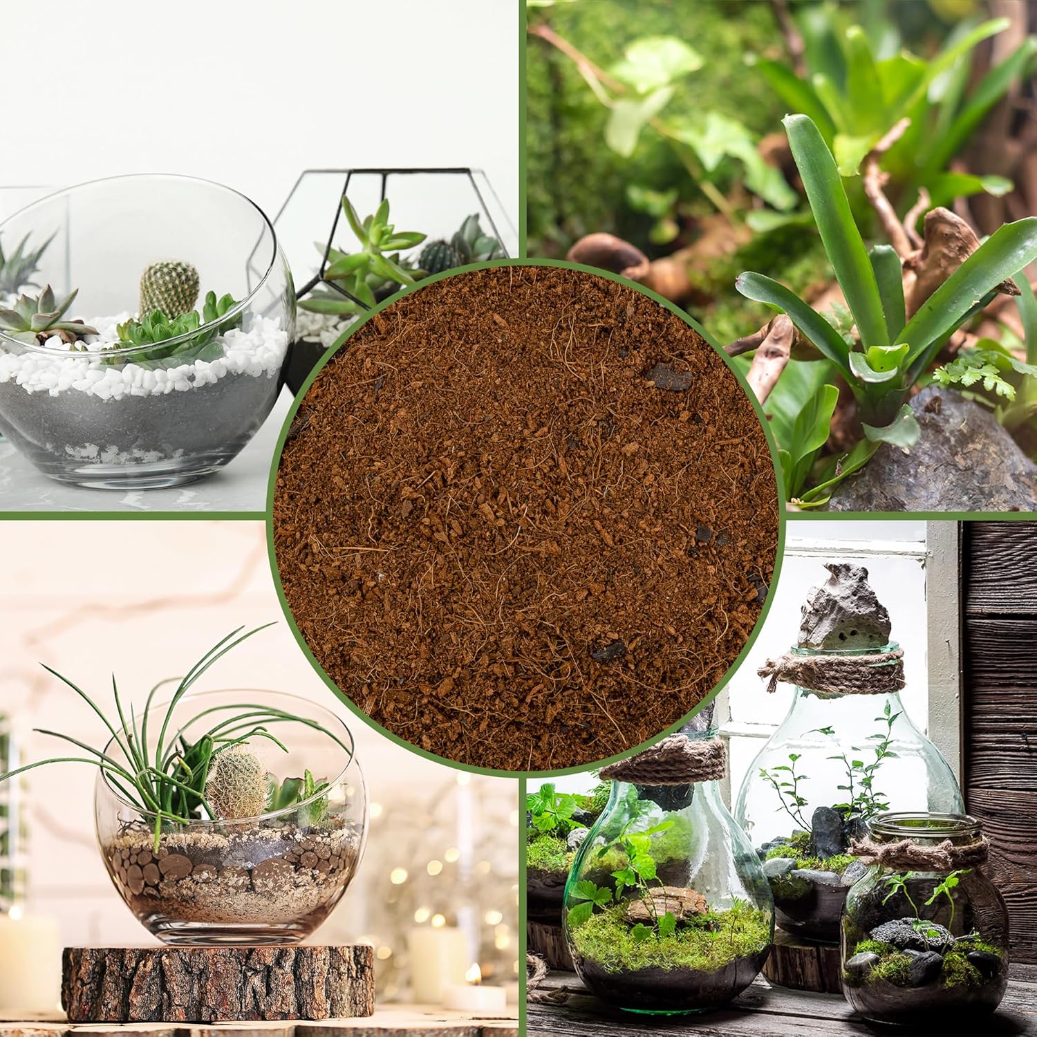 Terrarium Potting Soil Mix (8 Quarts), w/Blended Filtering Charcoal Custom Made for Terrariums - Pet Explorer
