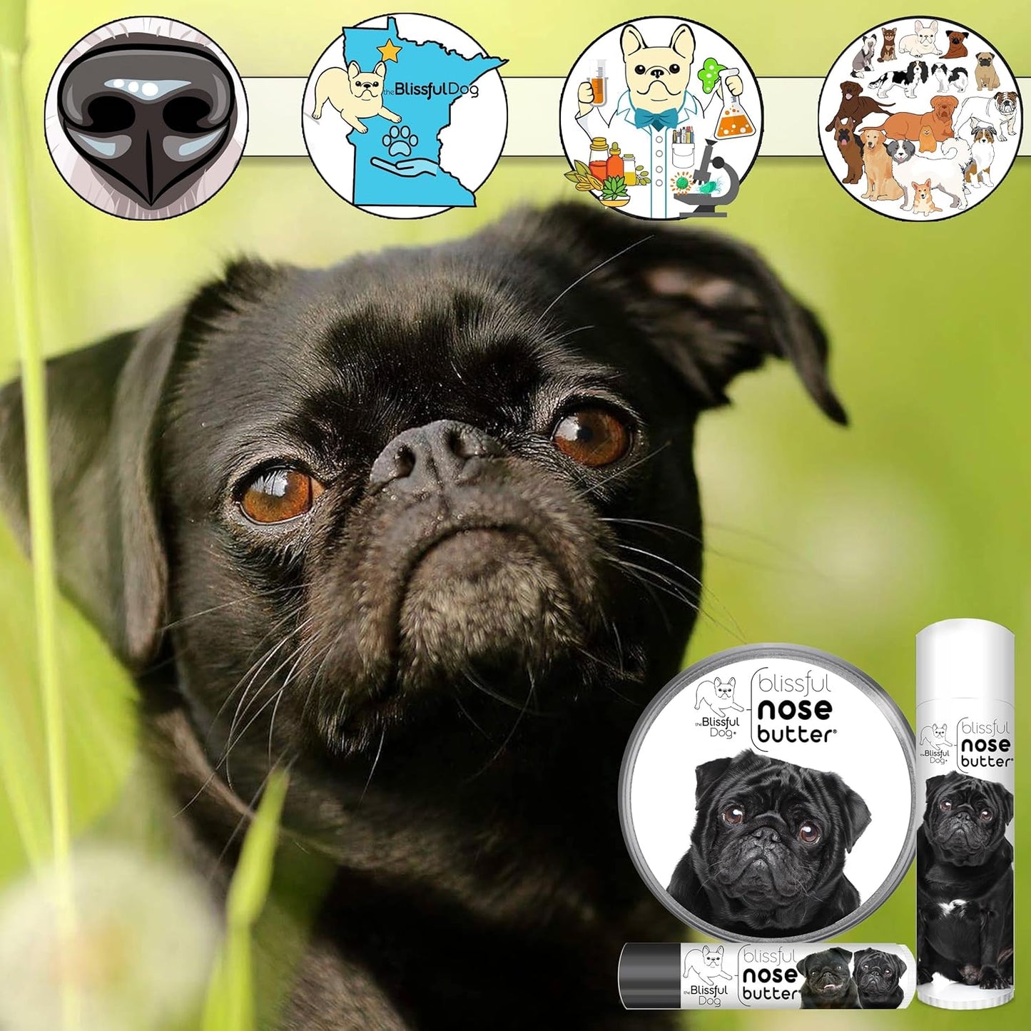 The Blissful Dog Black Pug Nose Butter for Dry, Cracked Skin, Lick-Safe Dog Nose Balm with Moisturizing Shea Butter, Almond, Olive, and Essential Oils, Pet Supplies, Uncented, 0.50 oz. - Pet Explorer
