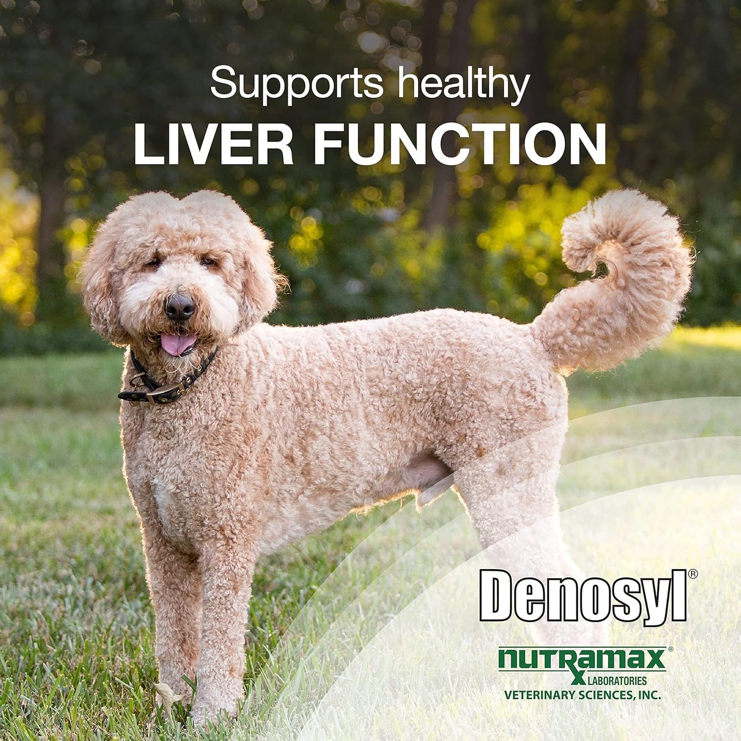 Nutramax Laboratories Denosyl Liver and Brain Health Supplement for Large Dogs, With S-Adenosylmethionine (SAMe), 30 Tablets - Pet Explorer