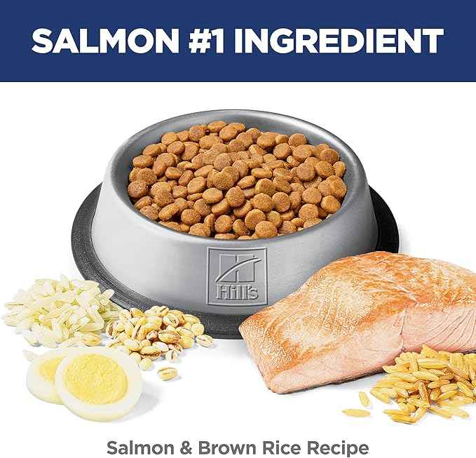 Hill's Science Diet Adult 1-6 Sensitive Stomach & Skin Dry Cat Food, Salmon Recipe, 6 lb. Bag