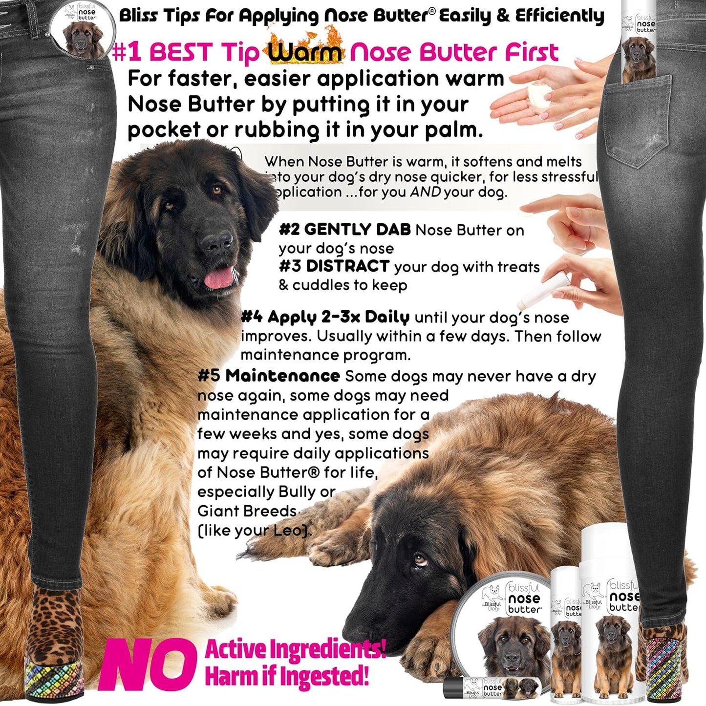 The Blissful Dog Leonberger Nose Butter for Dry, Cracked Skin, Lick-Safe Dog Nose Balm with Moisturizing Shea Butter, Almond, Olive, and Essential Oils, Pet Supplies, Uncented, 8 oz. - Pet Explorer