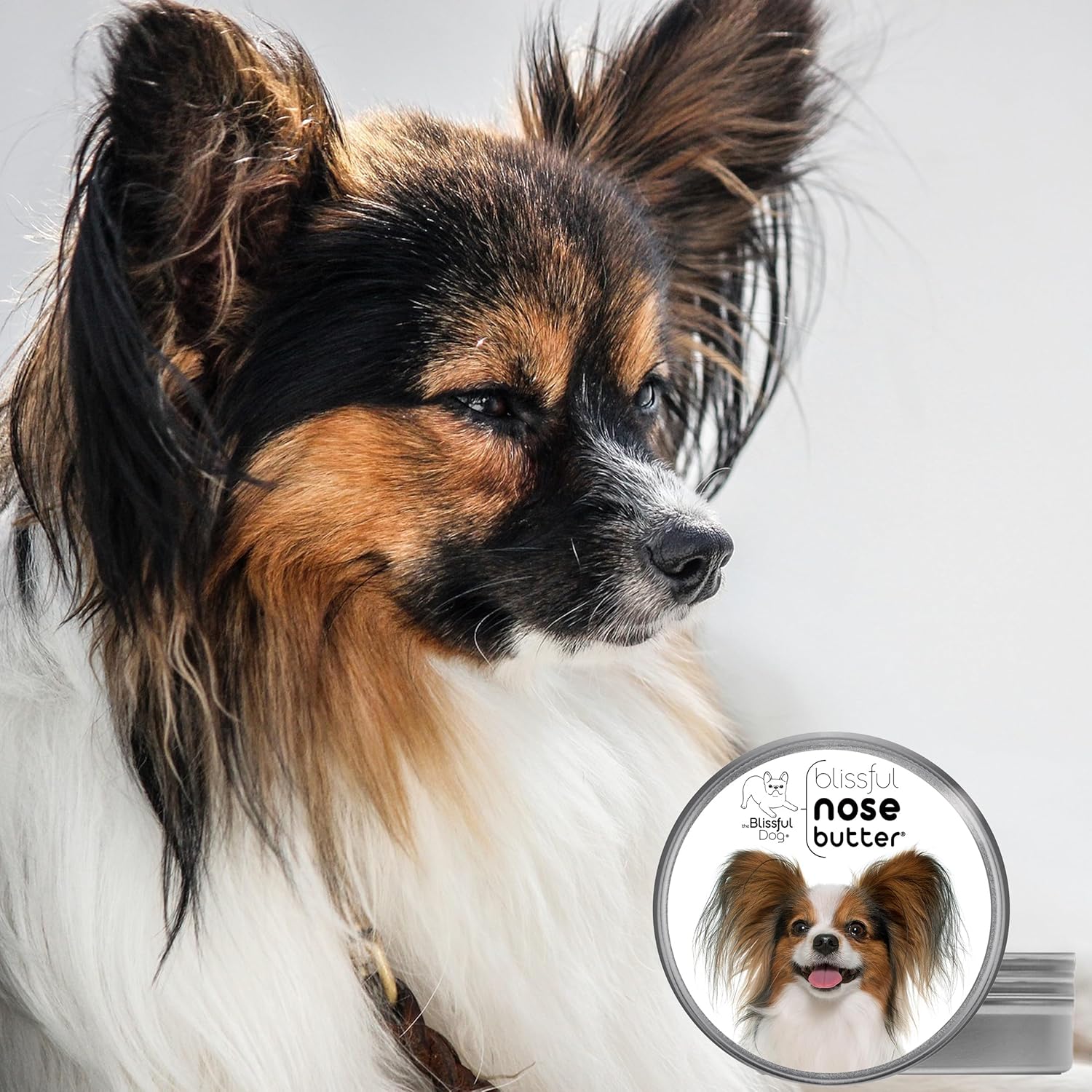 The Blissful Dog Papillon Unscented Nose Butter - Dog Nose Butter, 2 Ounce - Pet Explorer