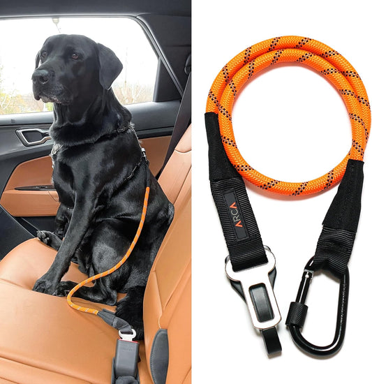 Dog Seat Belt for Car | Universal Dog Car Seatbelt | Durable Reflective Rope with Clip Hook Latch, Buckle and Carabiner- Safe and Secure Pet Safety Restraint (Orange) - Pet Explorer