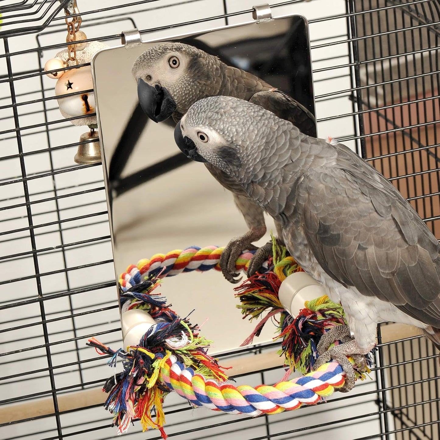 Colorday 9" Bird Mirror with Rope Perch, Bird Swing, Parrot Cage Toys for Parakeet African Grey Conure Cockatiel Lovebird Finch Canarie, Large