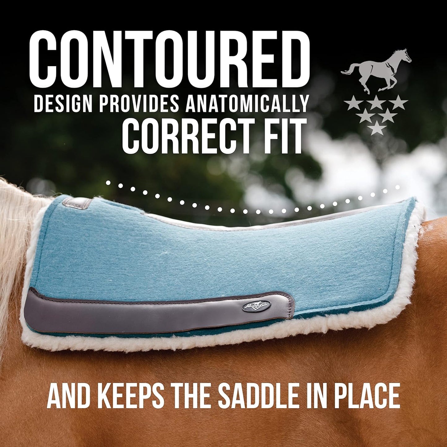 Professional's Choice 100% Steam-Pressed Wool Felt Saddle pad
