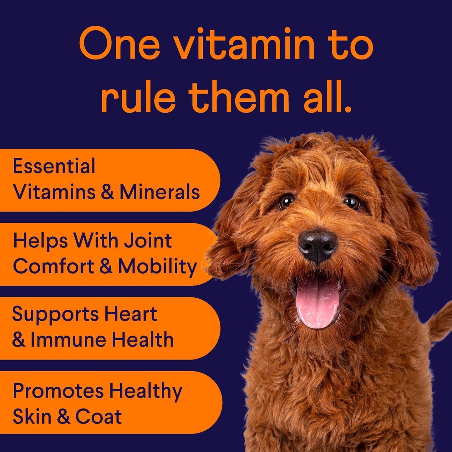 Finn All-in-1 Multivitamin for Dogs - Daily Multi with Probiotics, Omegas & Nutrients to Support Everyday Wellness - 90 Soft Chews - Pet Explorer