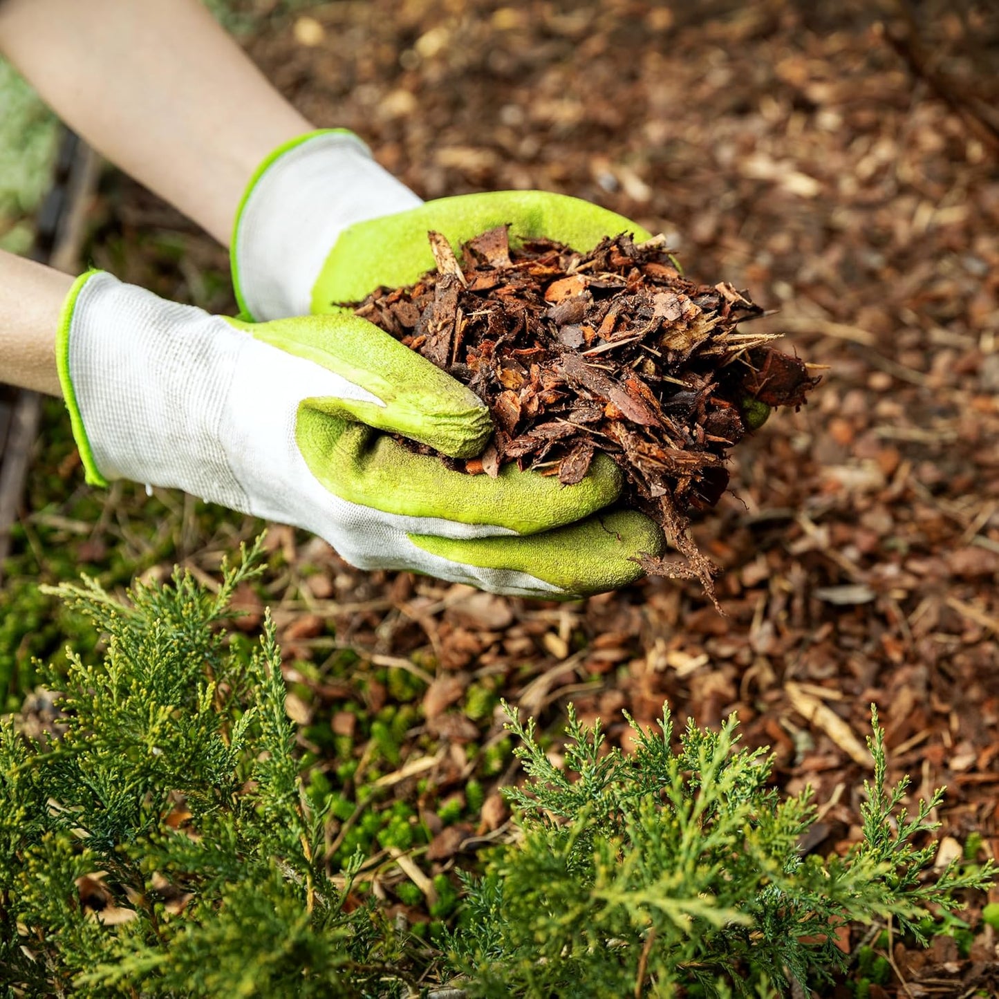 Premium Cypress Mulch for Landscaping, Gardens, Lawns, Reptile Bedding, and Potted Plants (0.3 CF - 8 L - 9 QTS)