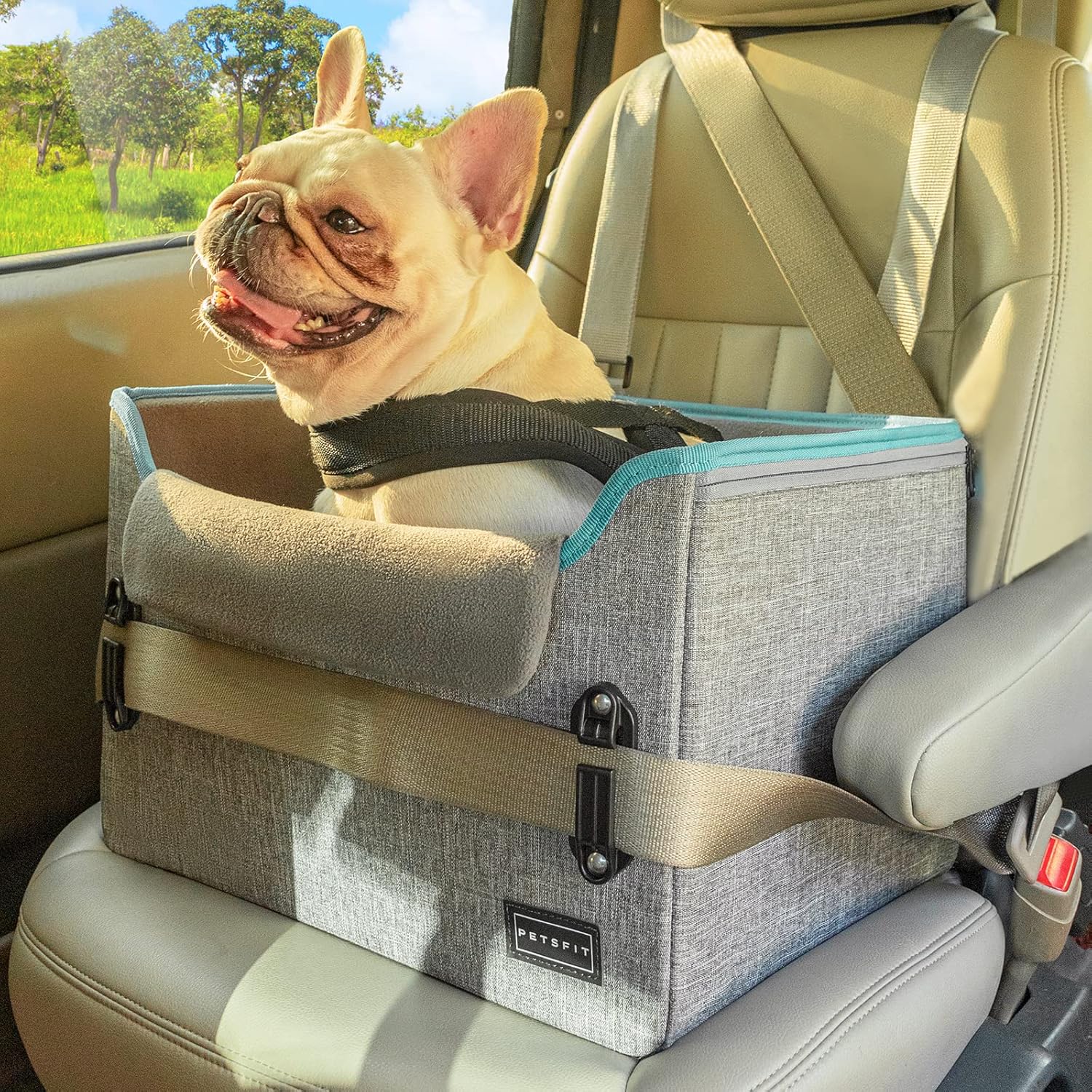 PETSFIT Dog Car Seats for Small Dogs, Patent Safety Buckles Dog Booster Car Seat, Dog Carseat with Safety Belt, Suitable for Small Pets Up to 25lbs (Grey) - Pet Explorer