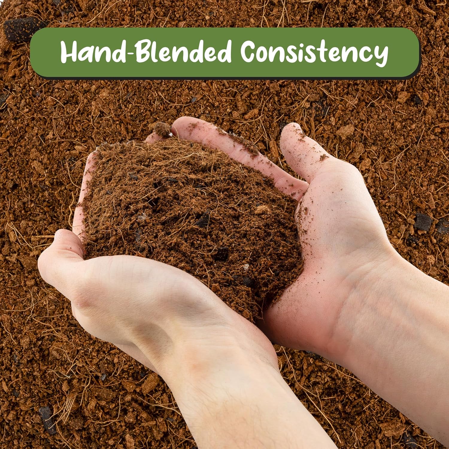 Terrarium Potting Soil Mix (4 Quarts), w/Blended Filtering Charcoal Custom Made for Terrariums - Pet Explorer