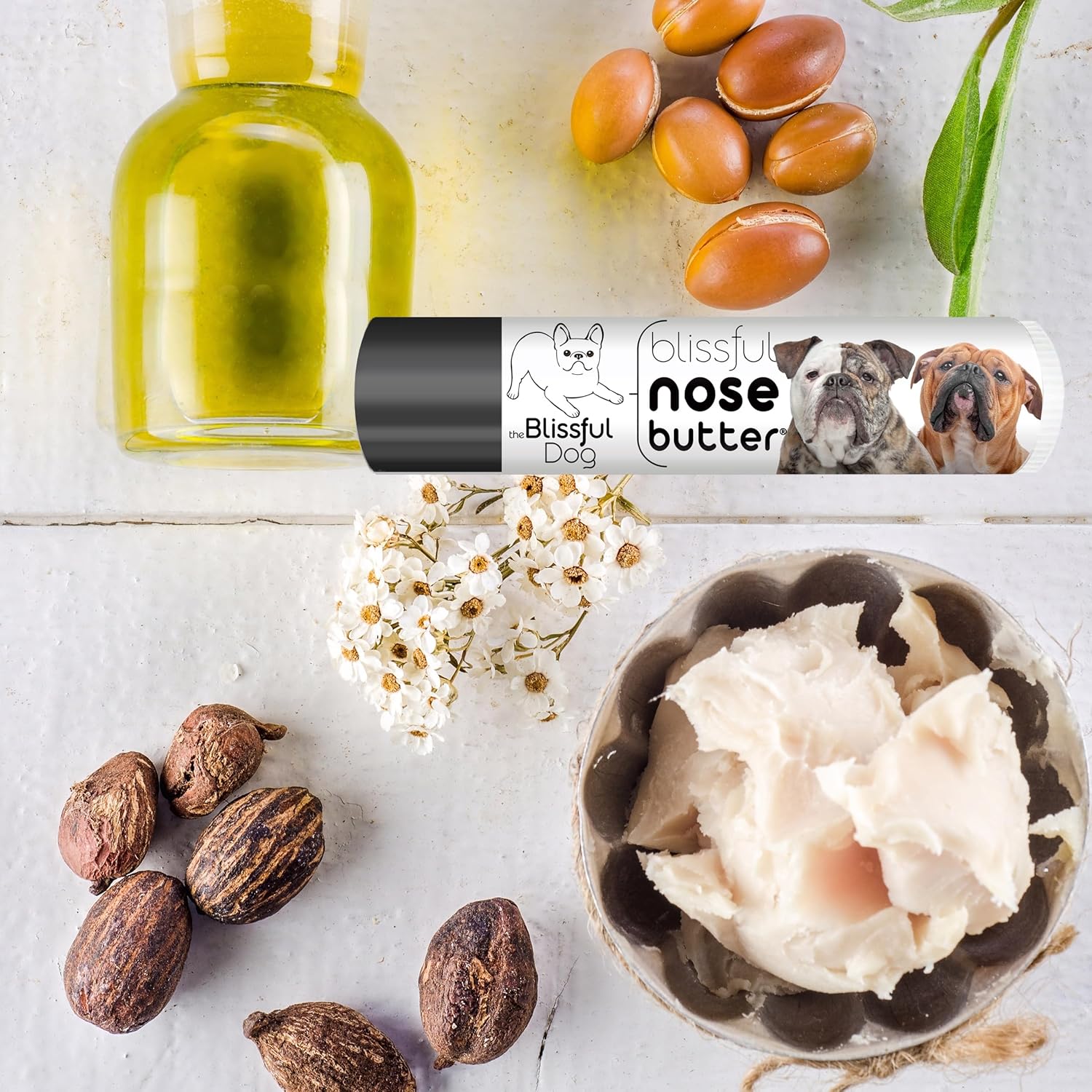 The Blissful Dog Olde English Bulldogge Unscented Nose Butter - Dog Nose Butter, 0.15 Ounce - Pet Explorer