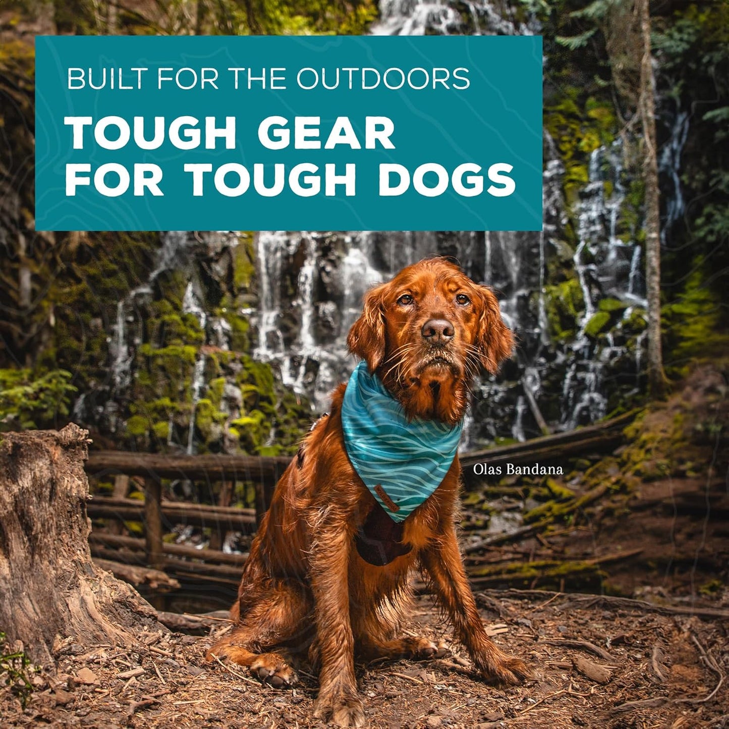 Wilderdog Dog Bandana with Lightweight Quick Drying Poly-Blend Mesh Material in Daisy