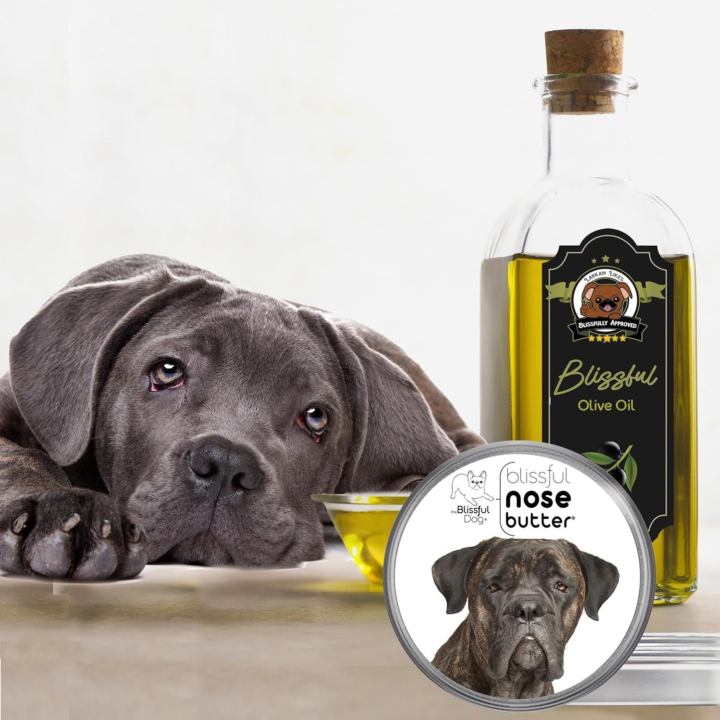 The Blissful Dog Cane Corso Nose Butter for Dry, Cracked Skin, Lick-Safe Dog Nose Balm with Moisturizing Shea Butter, Almond, Olive, and Essential Oils, Pet Supplies, Uncented, 4 oz. - Pet Explorer
