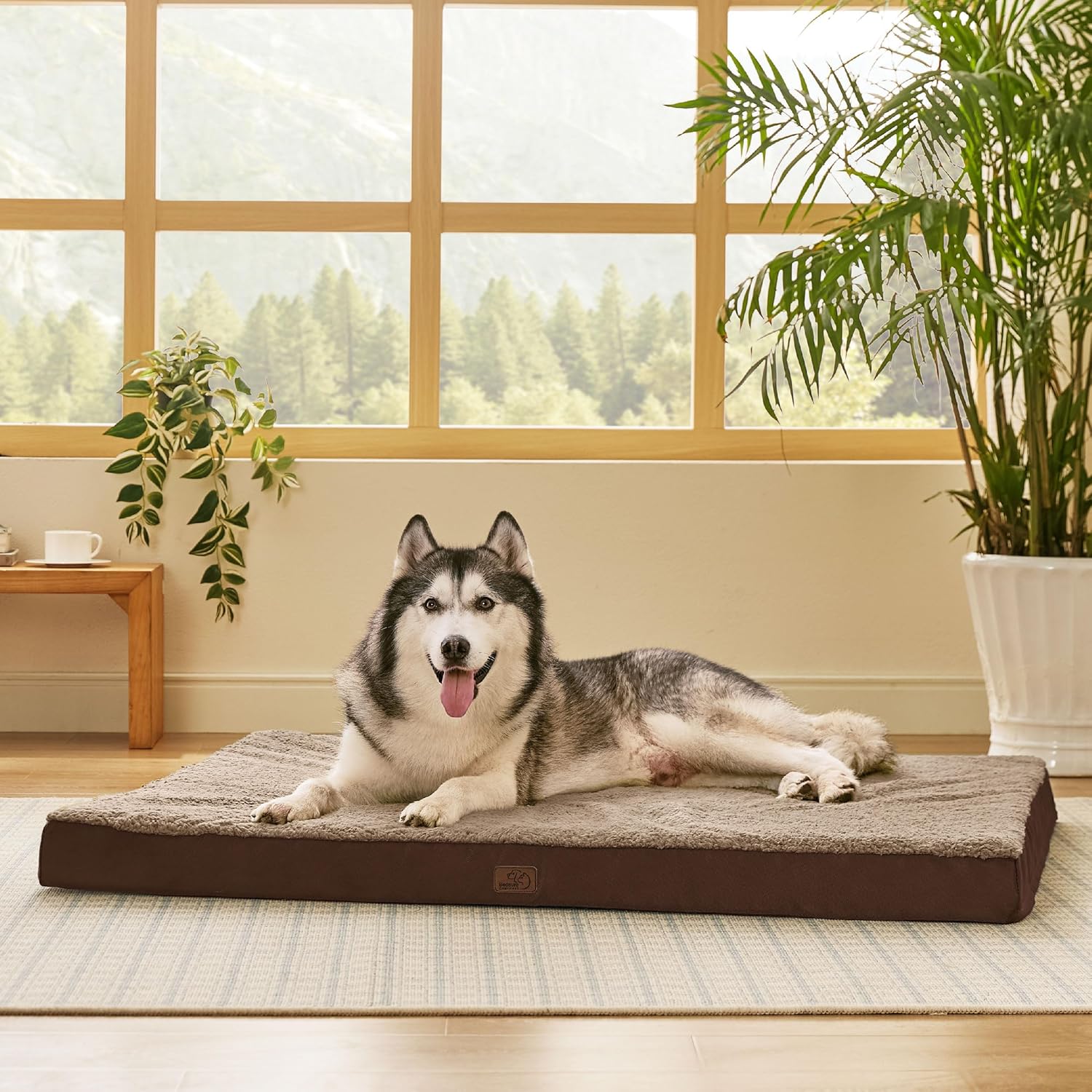 Bedsure XXL Dog Bed for Large Dogs - Orthopedic Flat Giant Pet Beds with Removable Washable Cover, Jumbo Egg Crate Foam Mat, Suitable for Pet Up to 150 lbs - Pet Explorer