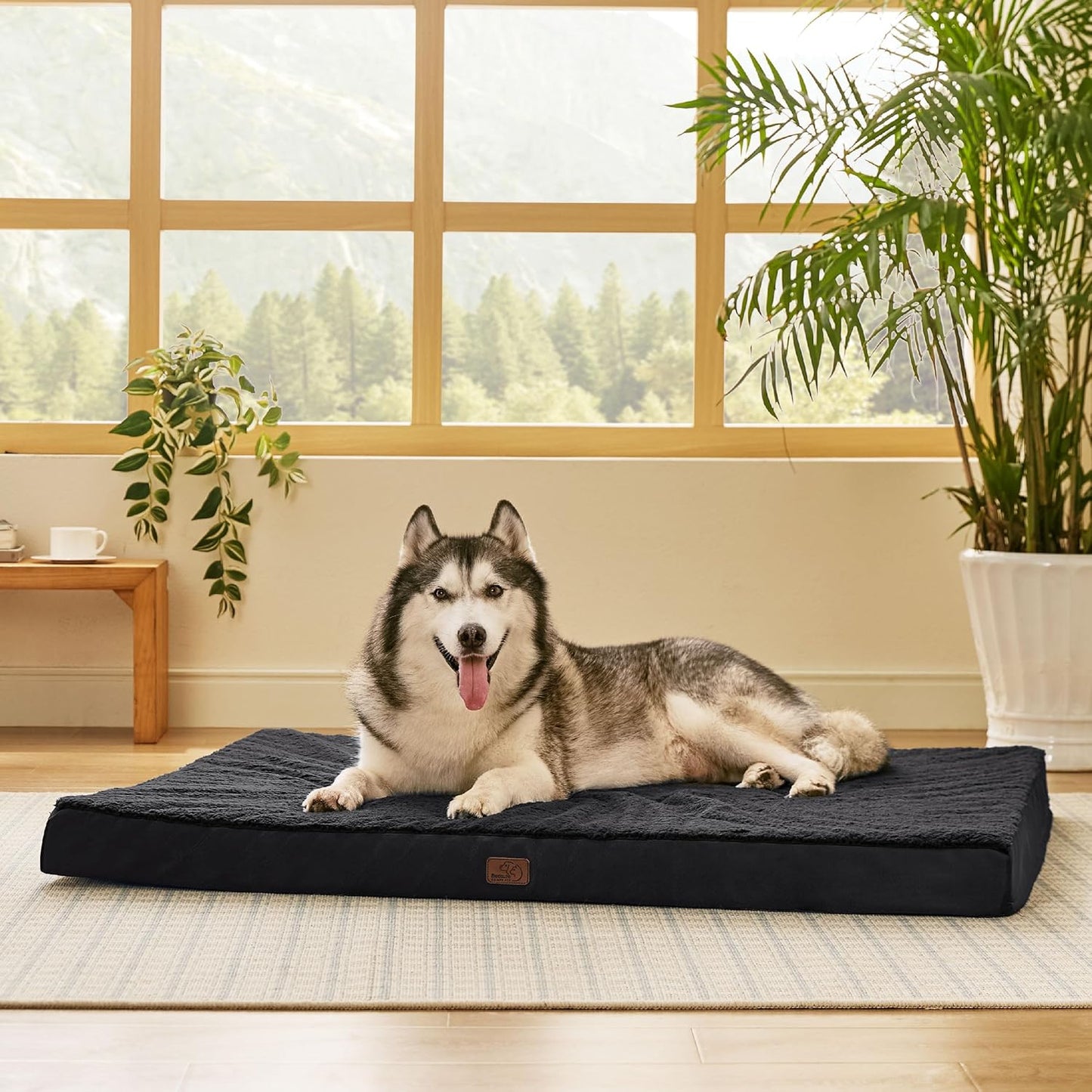 Bedsure XXL Dog Bed for Large Dogs - Orthopedic Flat Giant Pet Beds with Removable Washable Cover, Jumbo Egg Crate Foam Mat, Suitable for Pet Up to 150 lbs - Pet Explorer