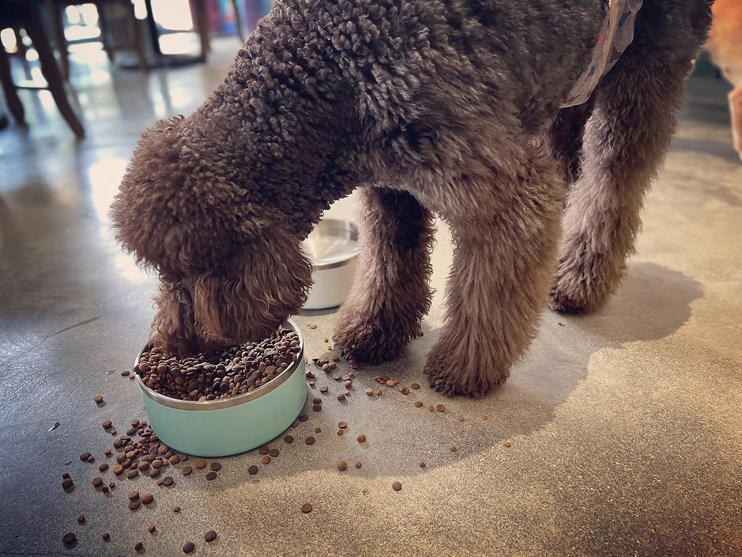 IKITCHEN Dog Bowl for Food and Water, 64 Oz Stainless Steel Pet Feeding Bowl, Durable Non-Skid Double Wall Insulated Heavy Duty with Rubber Bottom for Medium Large Dogs (64 Ounces/8 Cup, MintGreen) - Pet Explorer