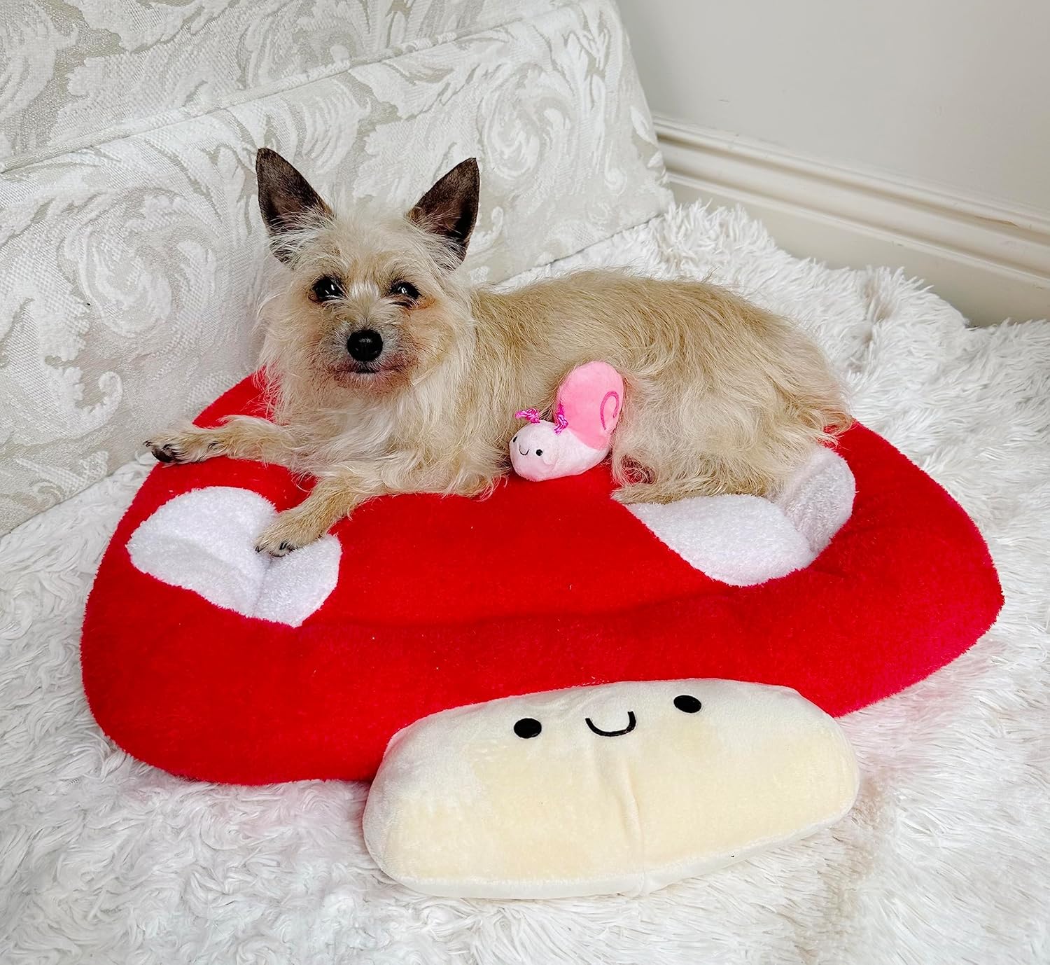 TONBO Soft Plush Small Cute and Cozy Nature Dog Cat Bed, Washer and Dryer Friendly (Mushroom) - Pet Explorer