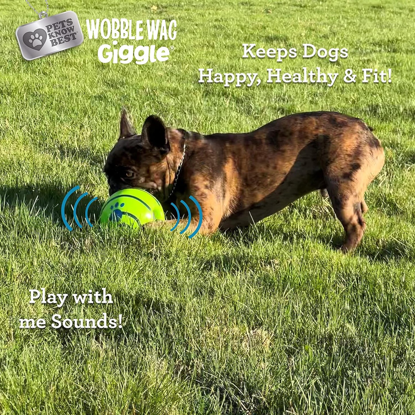 Wobble Wag Giggle & Glow | Rolling Enrichment Toy for Fun Playtime, Interactive Play for Indoor or Outdoor, Keeps Dogs & Puppies Large, Medium or Small Busy & Moving, As Seen on TV | Pack of 2
