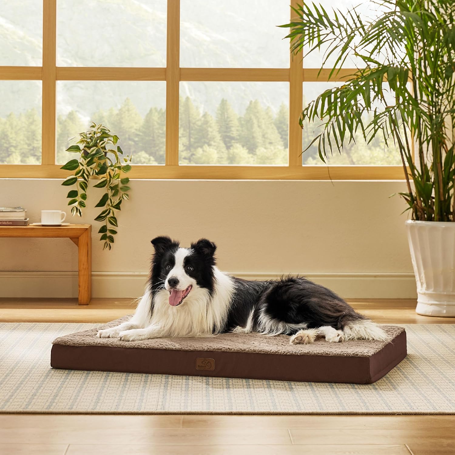 Bedsure Dog Beds Large Sized Dog - Orthopedic Flat Pet Beds with Removable Washable Cover, Egg Crate Foam Puppy Mat, Suitable for Pet Up to 65 lbs - Pet Explorer