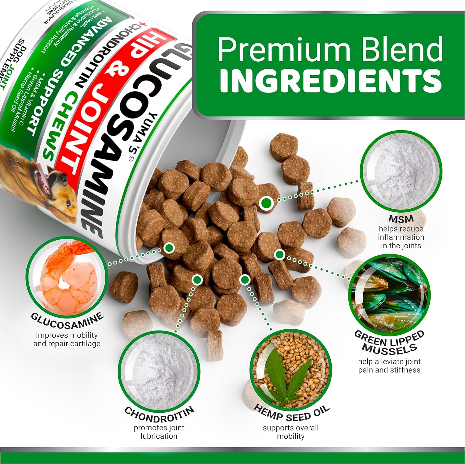 YUMA'S Glucosamine for Dogs - Hip and Joint Supplement for Dogs - 170 Ct - Glucosamine Chondroitin Chews - Joint Pain Relief Supplement with MSM - Advanced Health - Mobility Support - Made in USA - Pet Explorer