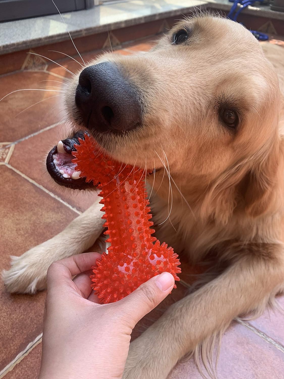 Jalousie Dog Squeaky Toys Value Set Non-Toxic Squeaky Balls Toss Fetch TPR Rubber Puppy Toys Spikey Dog Chew Toy for Small Medium Breed Pet Toys for Puppy (6 Pack Assorted)