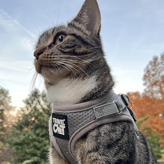 Travel Cat Harness and Leash Set - Adjustable Fit Mesh Cat Harness and Reflective Strap - Comfort Walking Vest for Kitten for Outdoor Walking, Hiking (Medium, Grey)