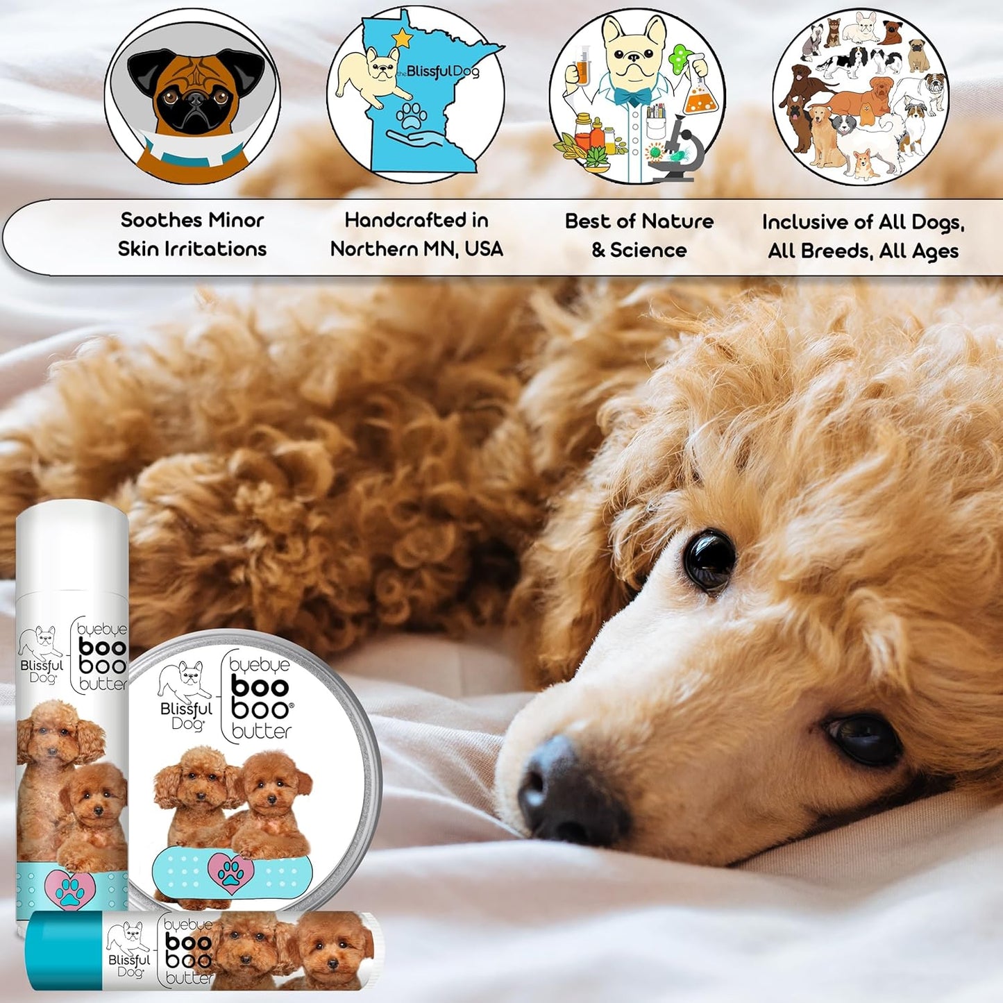 The Blissful Dog Poodle Boo Boo Butter, 16 oz. - Pet Explorer