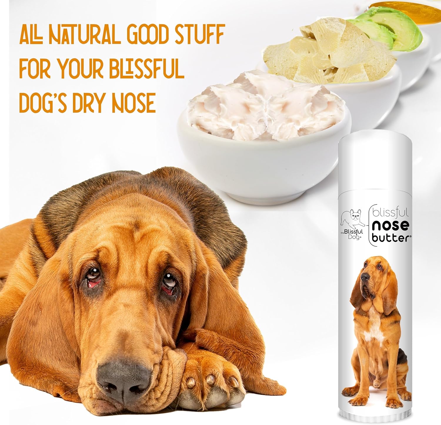 The Blissful Dog Bloodhound Nose Butter for Dry, Cracked Skin, Lick-Safe Dog Nose Balm with Moisturizing Shea Butter, Almond, Olive, and Essential Oils, Pet Supplies, Uncented, 0.50 oz. - Pet Explorer