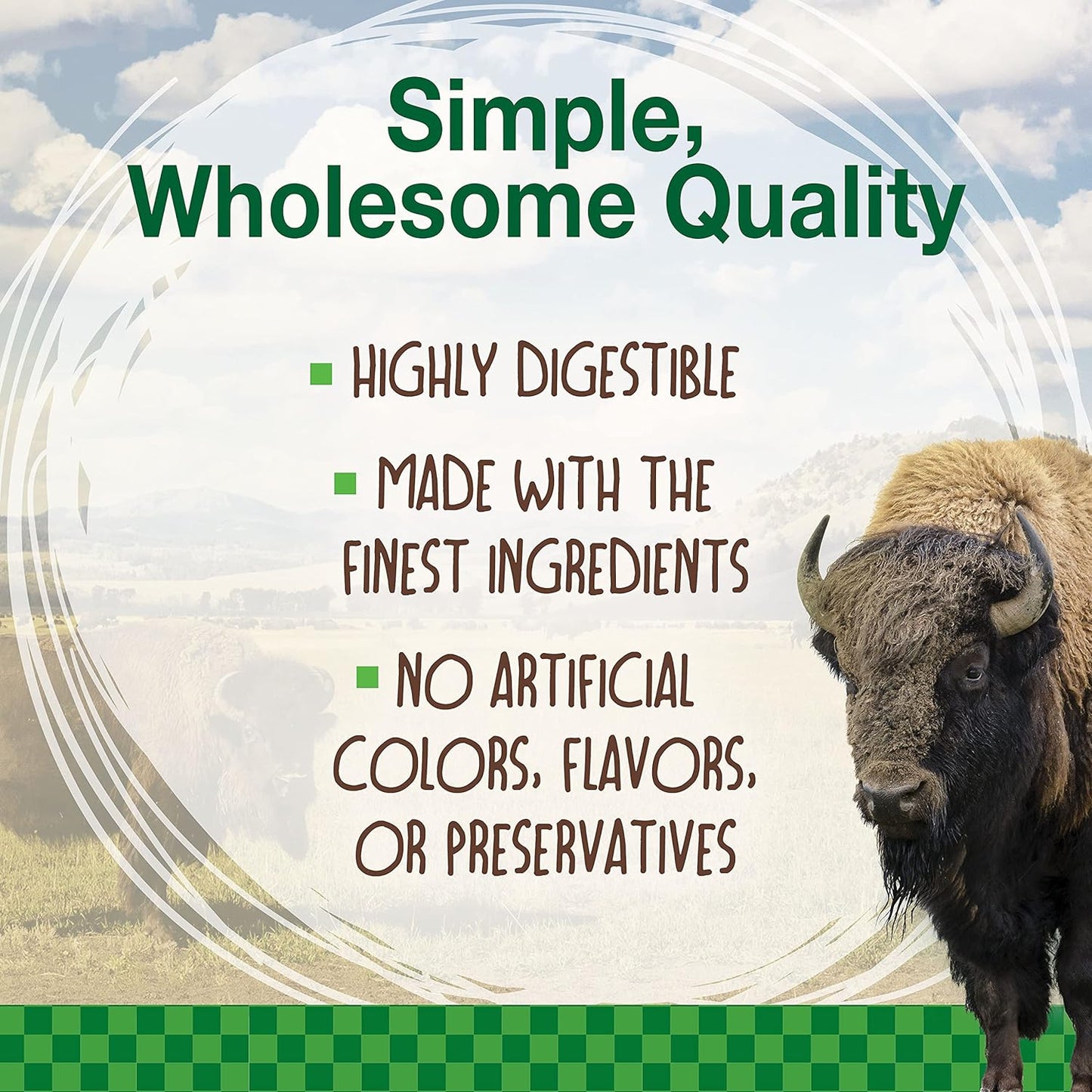 Nylabone Healthy Edibles WILD Natural Longer-Lasting Chew Treats, Bison Flavor, Large Dogs Up to 50 lbs - Made in USA (1 Count)