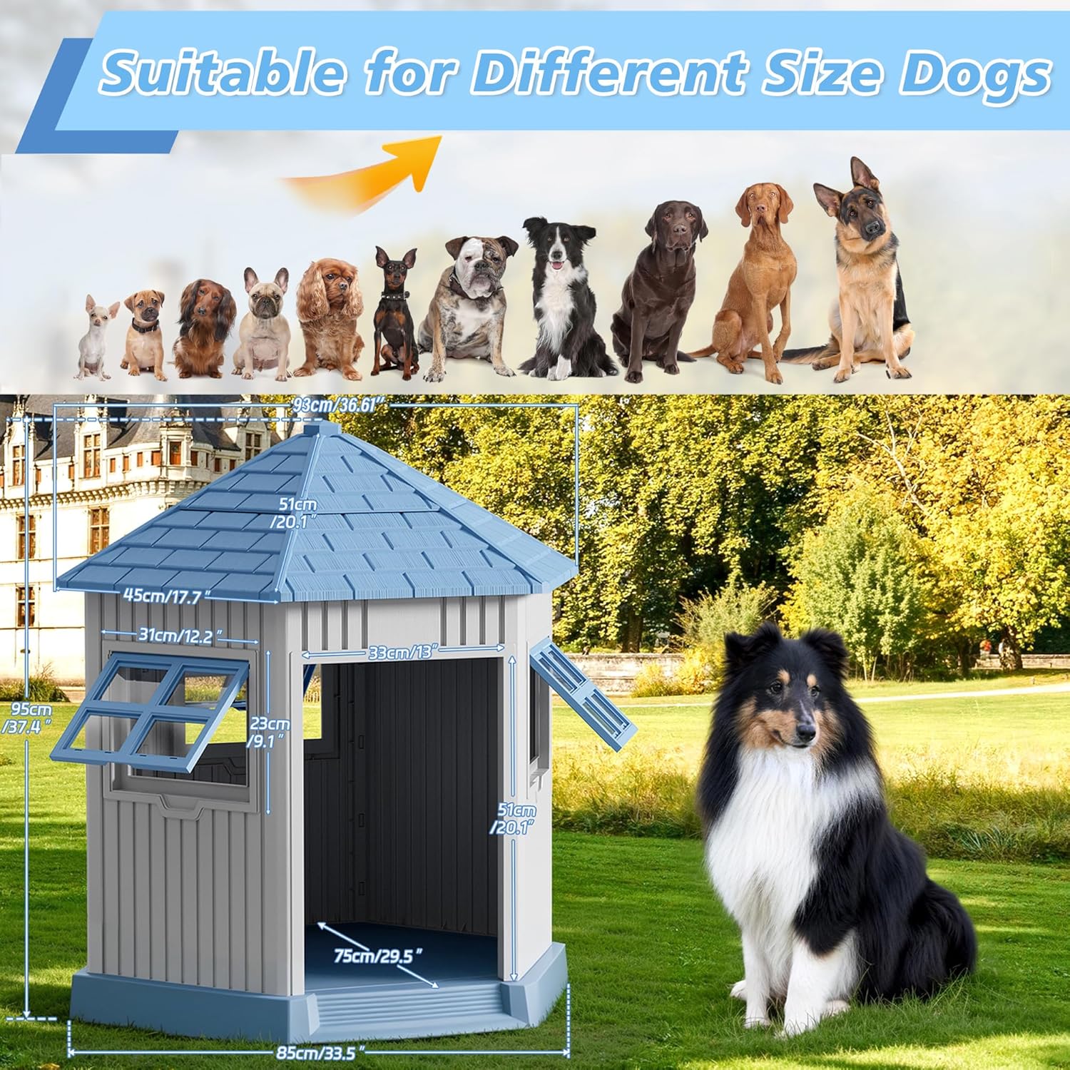 Durable Dog House Indoor Outdoor for Small Medium Dogs, Weatherproof Puppy Shelter with Elevated Floor & Air Vents, Easy Clean and Assemble (Blue, 36.61L*29.5W*37.4H) - Pet Explorer