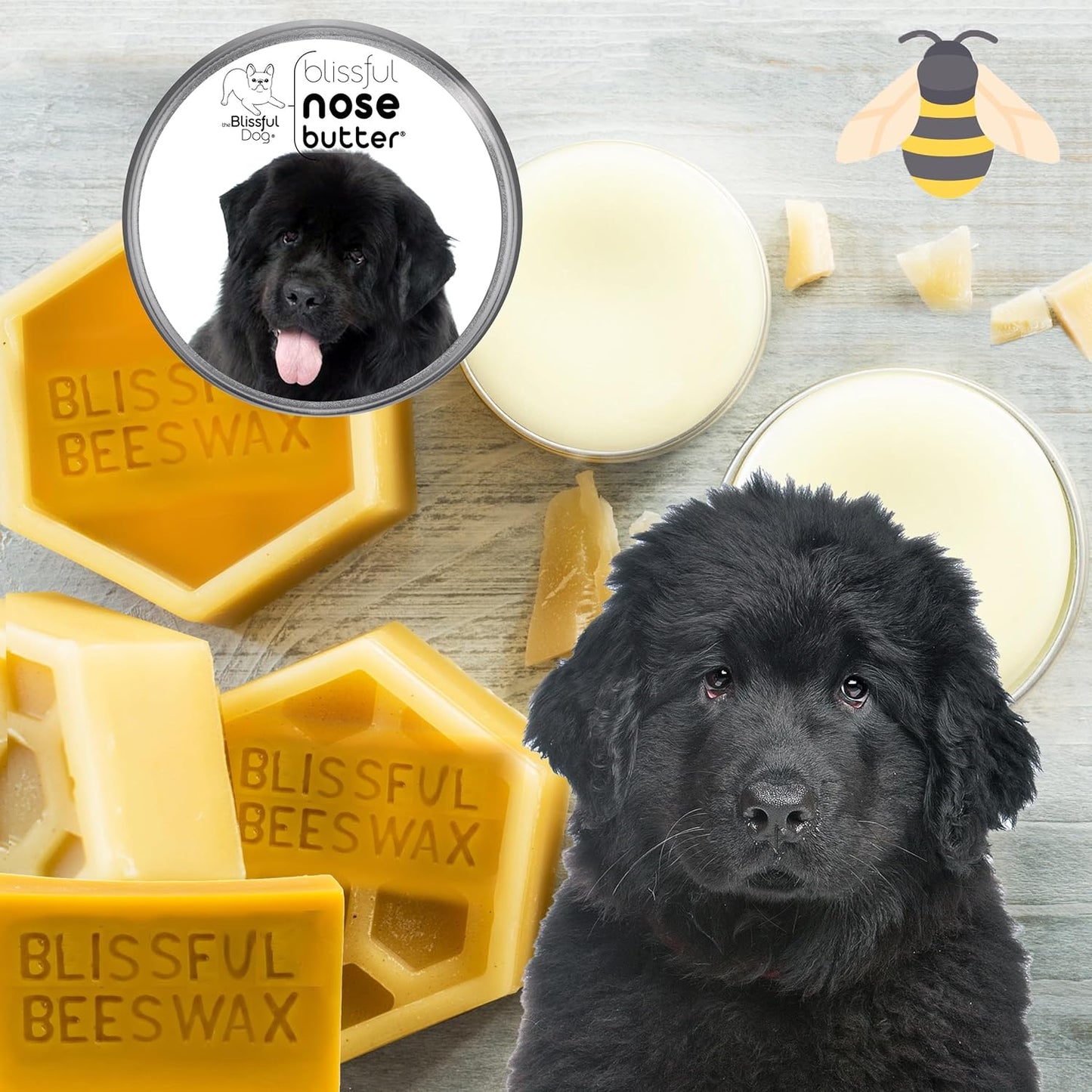 The Blissful Dog Newfoundland Unscented Nose Butter - Dog Nose Butter, 8 Ounce - Pet Explorer