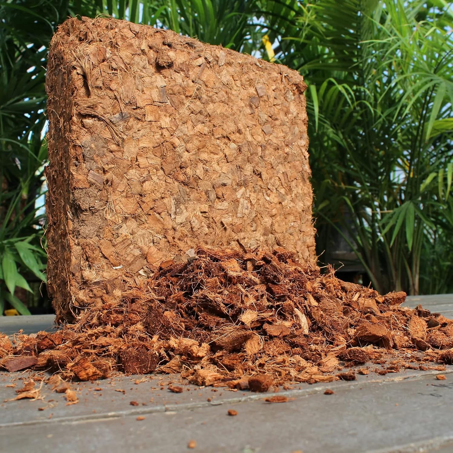 Organic Coco Chips for Plants (10lbs) - Coco Coir Chips - Coconut Husk Chips for Potting Soil, Garden Soil, & Seed Starter Soil - Coconut Mulch for Garden - Compressed Coconut Chips for Plants - Pet Explorer