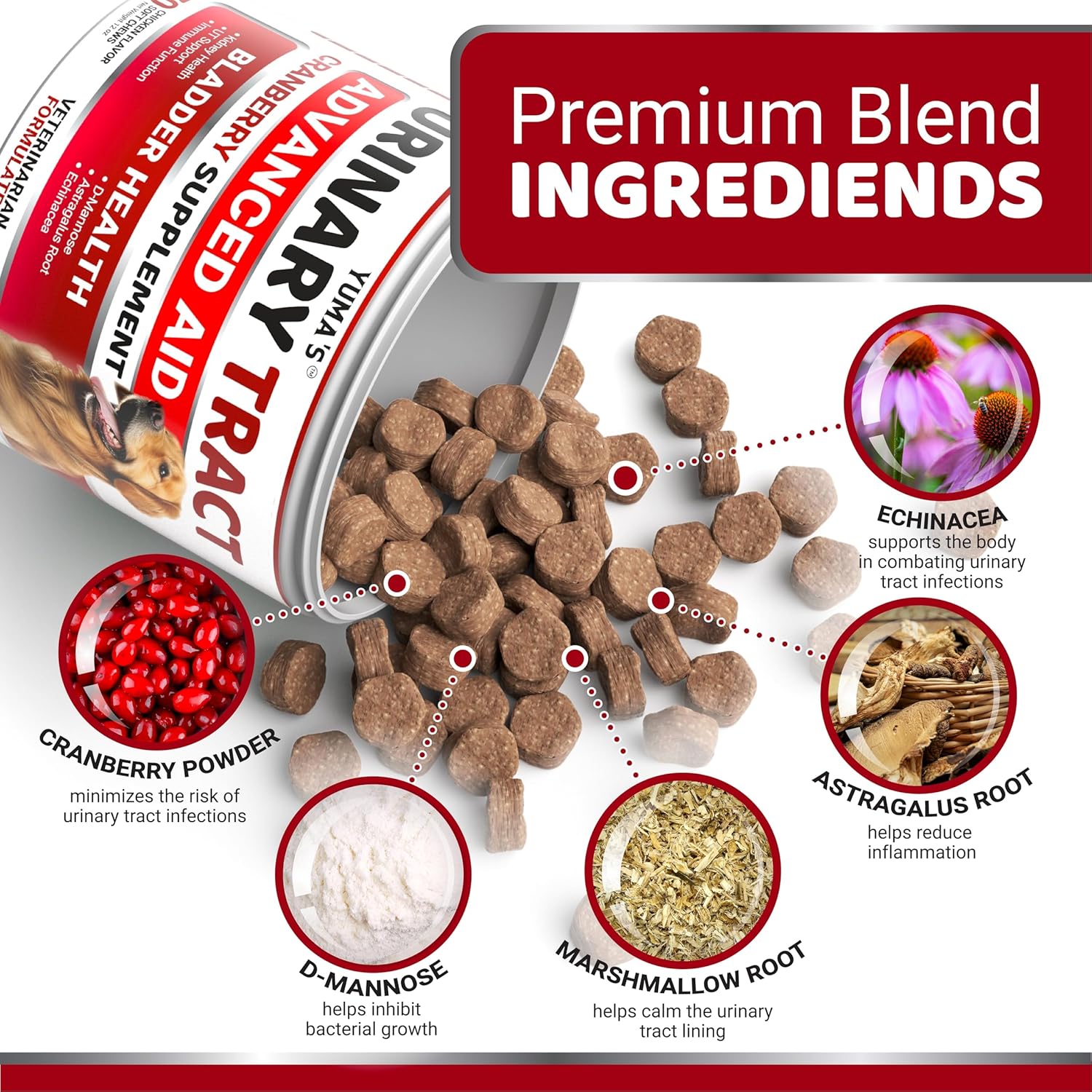 Dog UTI Treatment - 170 Treats - Cranberry Supplement for Dogs - Bladder Control - Urinary Tract Infection Treatment - UTI Medicine Multivitamin - Vitamins and Supplements - Made in USA - Pet Explorer