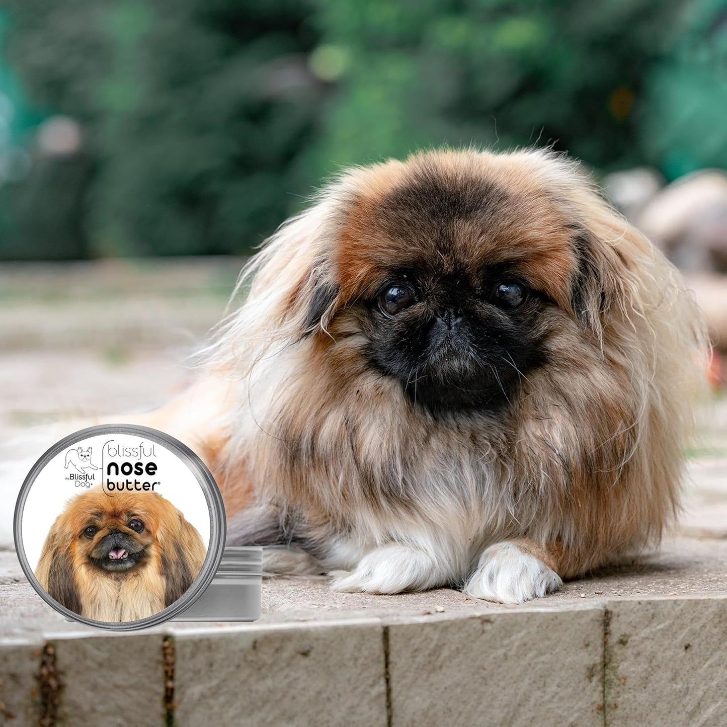 The Blissful Dog Pekingese Unscented Nose Butter - Dog Nose Butter, 16 Ounce - Pet Explorer