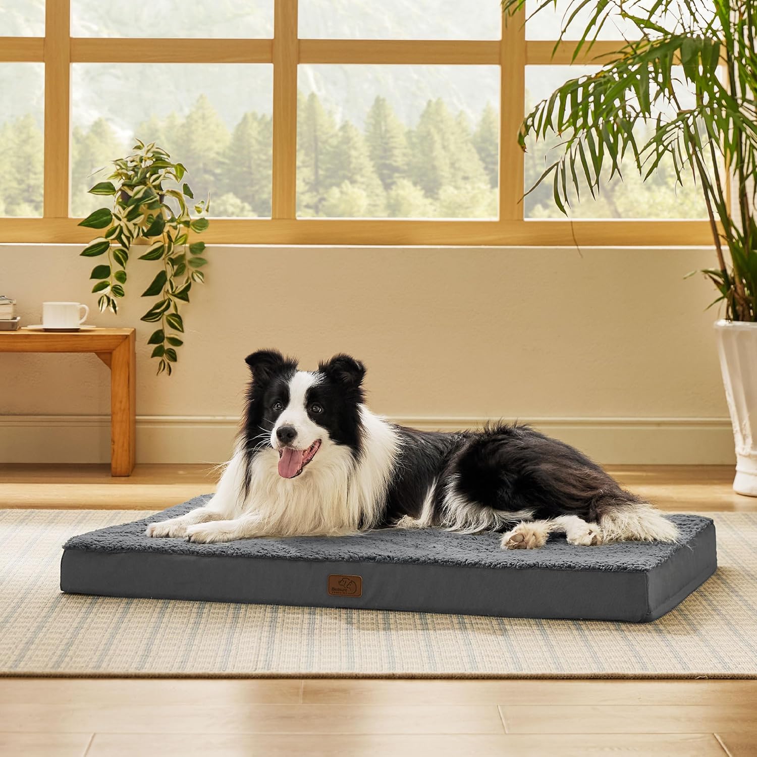 Bedsure Dog Beds Large Sized Dog - Orthopedic Flat Pet Beds with Removable Washable Cover, Egg Crate Foam Puppy Mat, Suitable for Pet Up to 65 lbs - Pet Explorer