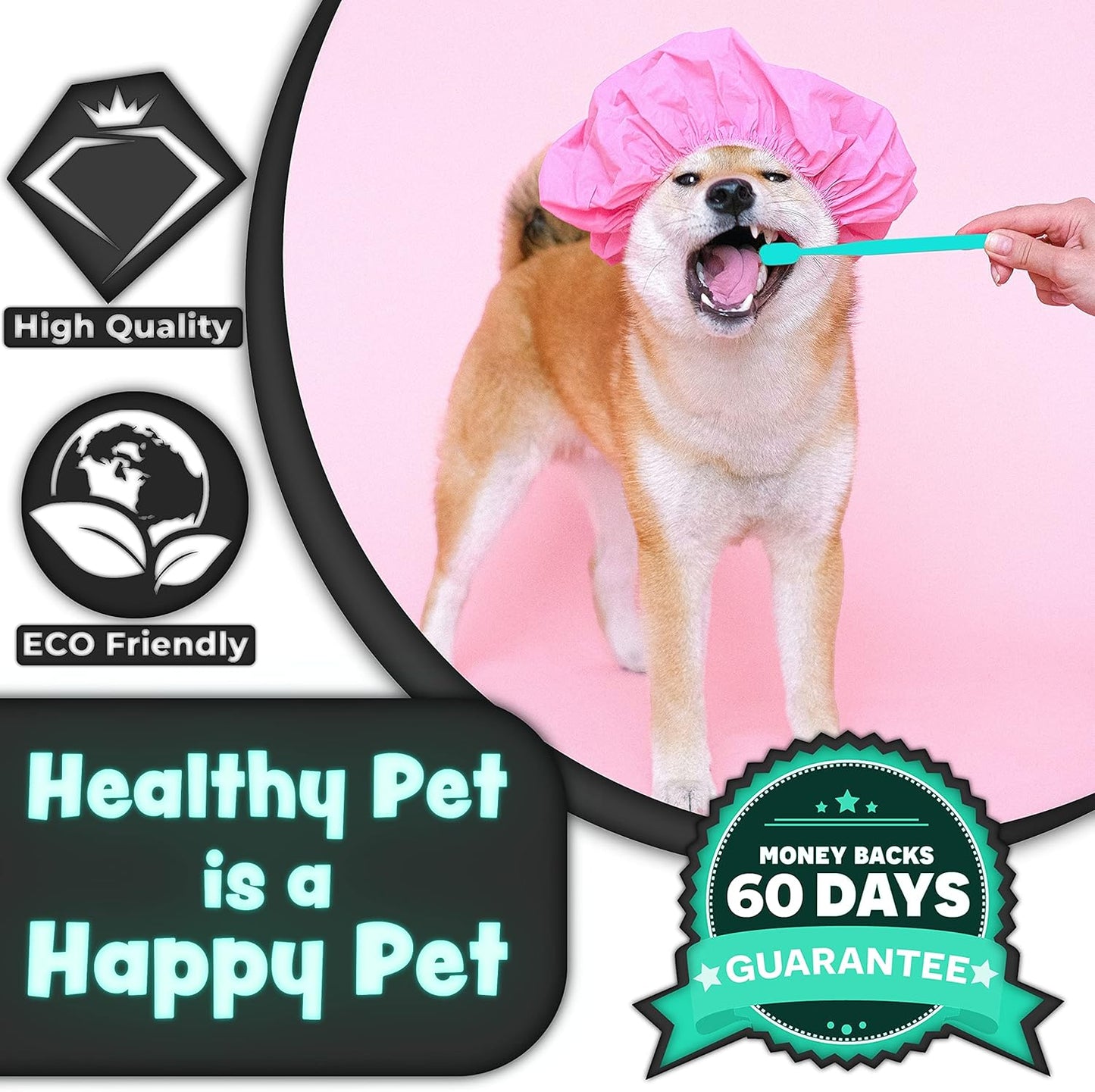 H&H Pets Toothbrush for Small Dogs & Cats - Soft and Extra Small Toothbrush Designed for Cats, Puppies, and XS Breed Dogs Like Teacups, Chihuahuas, Yorkshire, and Poodle, 8 Count Pack - Pet Explorer