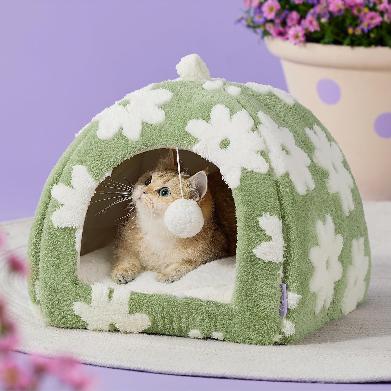 Lesure Cute Cat Beds for Indoor Cats - 2 in 1 Cat Cave Bed for Kittens and Small Pets with Removable Washable Cushioned Pillow, Cozy Ktten Tent with Non-Slip Bottom, Green, 16 inches - Pet Explorer