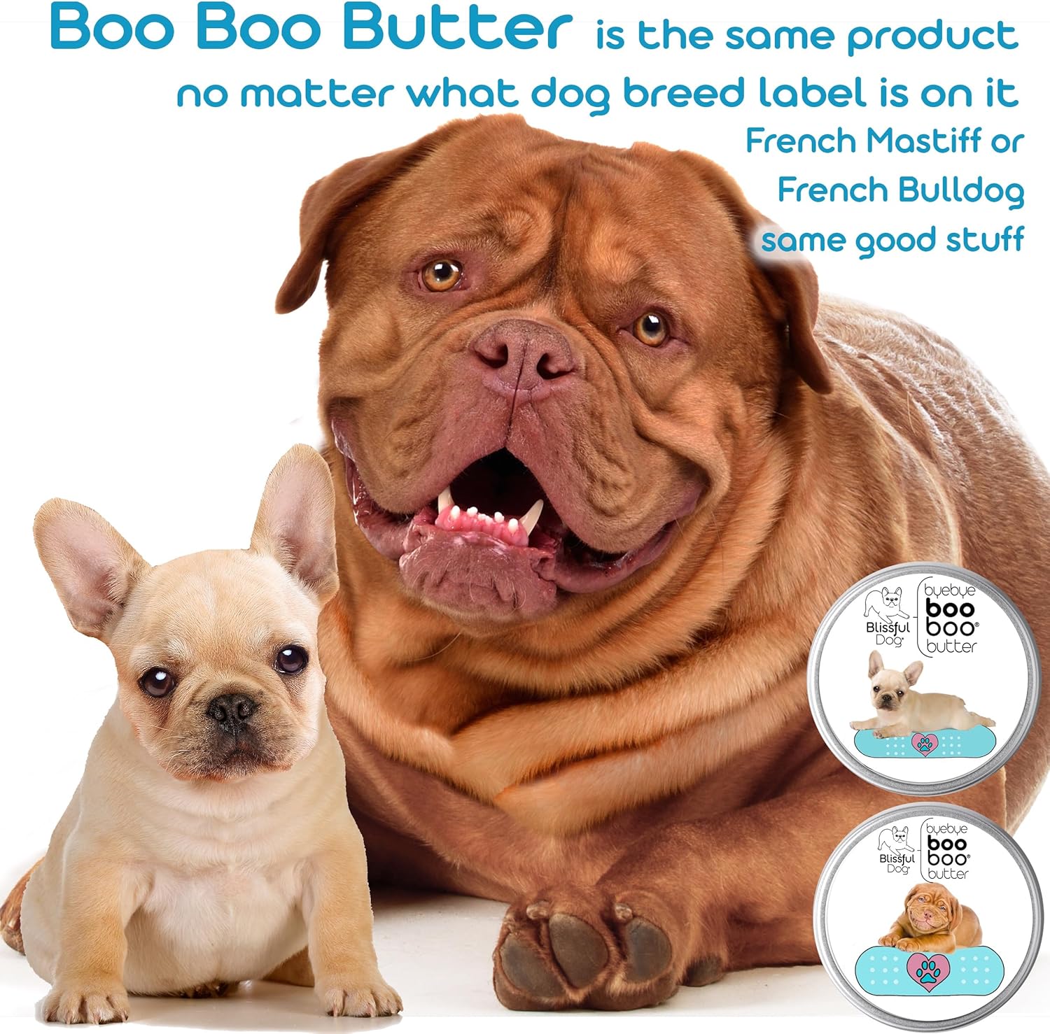 The Blissful Dog Bichon Frise Boo Boo Butter, 4-Ounce - Pet Explorer