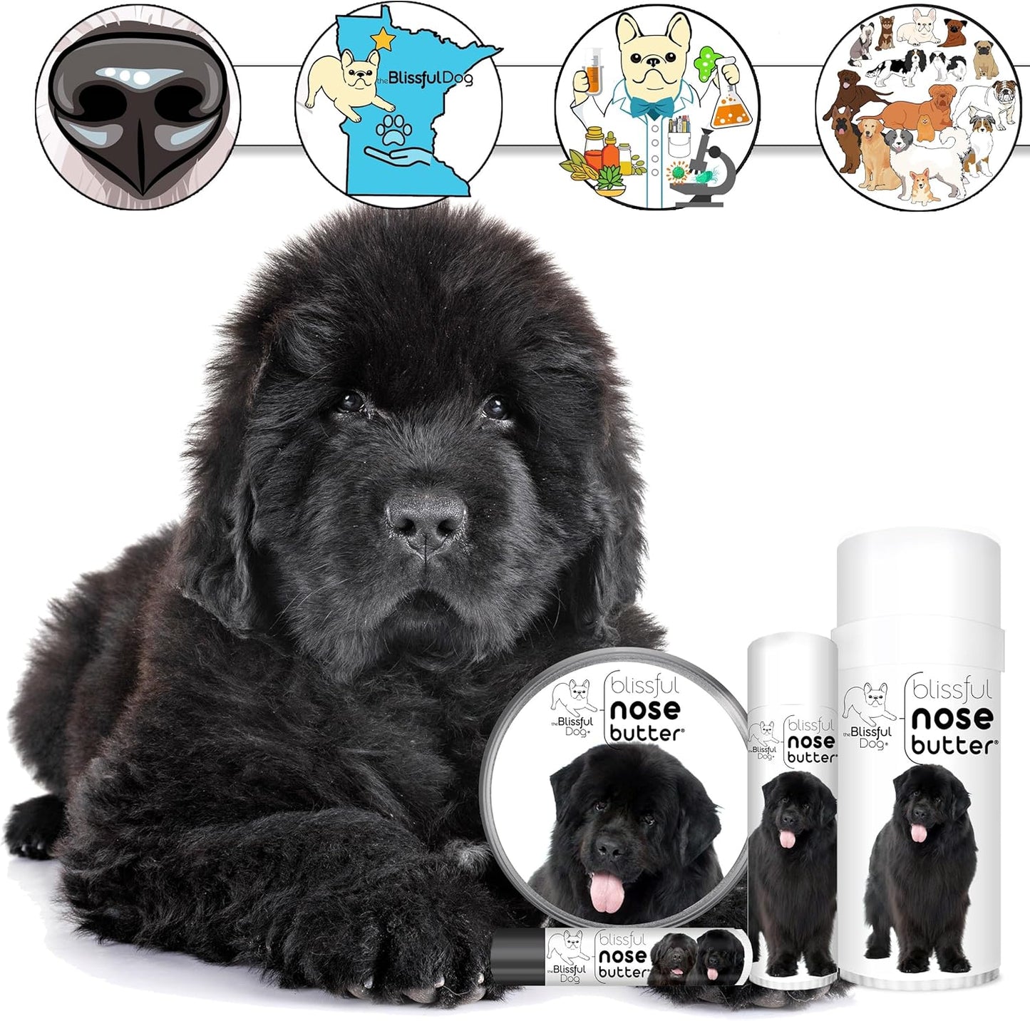 The Blissful Dog Newfoundland Unscented Nose Butter - Dog Nose Butter, 2 Ounce - Pet Explorer