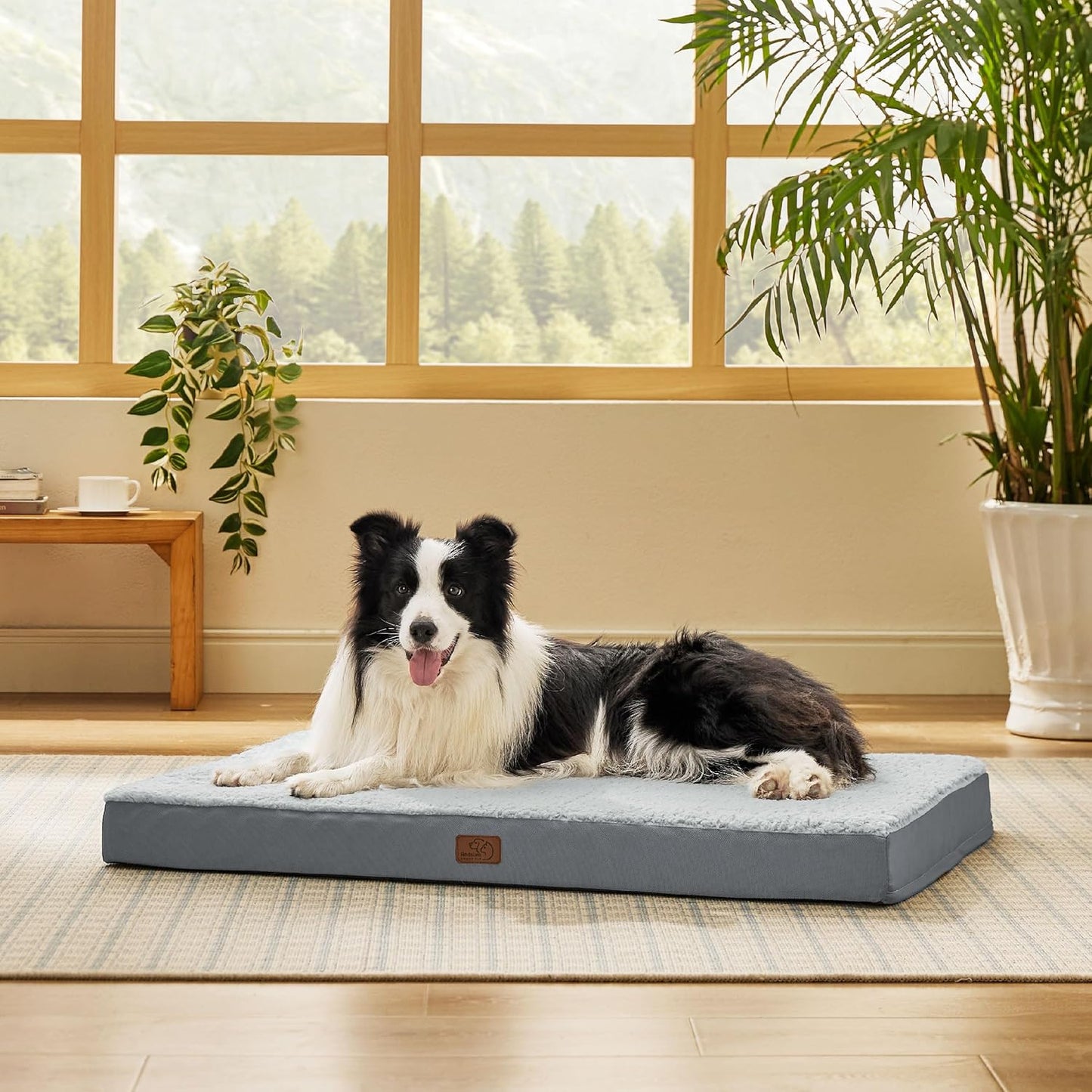 Bedsure Dog Beds Large Sized Dog - Orthopedic Flat Pet Beds with Removable Washable Cover, Egg Crate Foam Puppy Mat, Suitable for Pet Up to 65 lbs - Pet Explorer