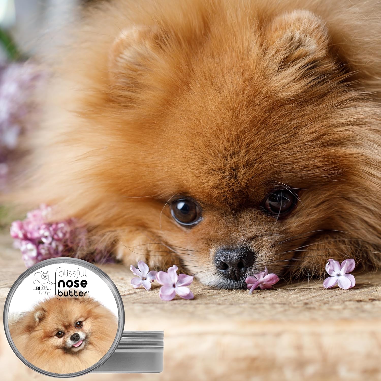 The Blissful Dog Pomeranian Nose Butter, Versatile Dog Nose Balm for Dry Nose, Handcrafted Nose Moisturizer, Easy-to-Apply Dog Essentials, Unscented, 2 oz. - Pet Explorer