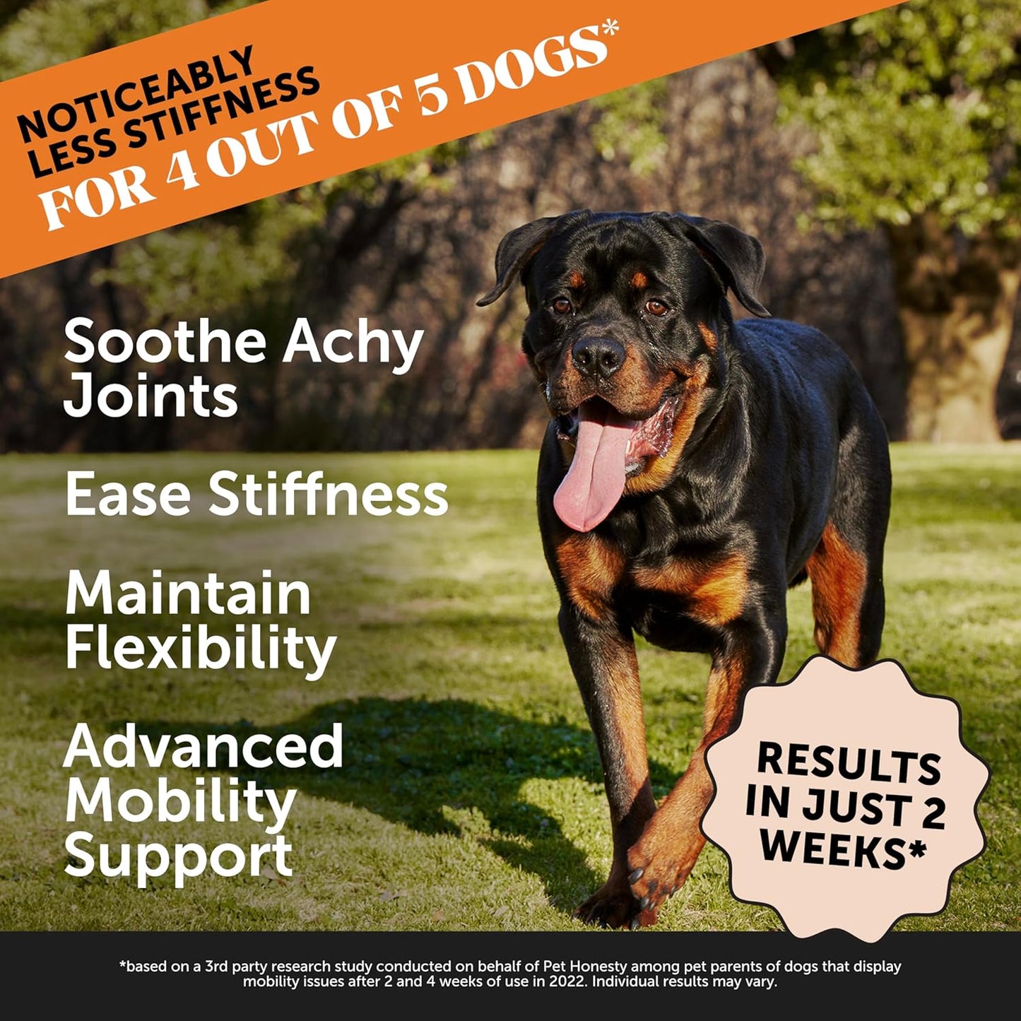 Hip & Joint Health Max Strength - Natural Joint Supplement for Dogs Chews - Glucosamine, Omega-3s, Chondroitin, Green Lipped Mussel - Help Improve Mobility, May Reduce Discomfort (90 ct) - Pet Explorer