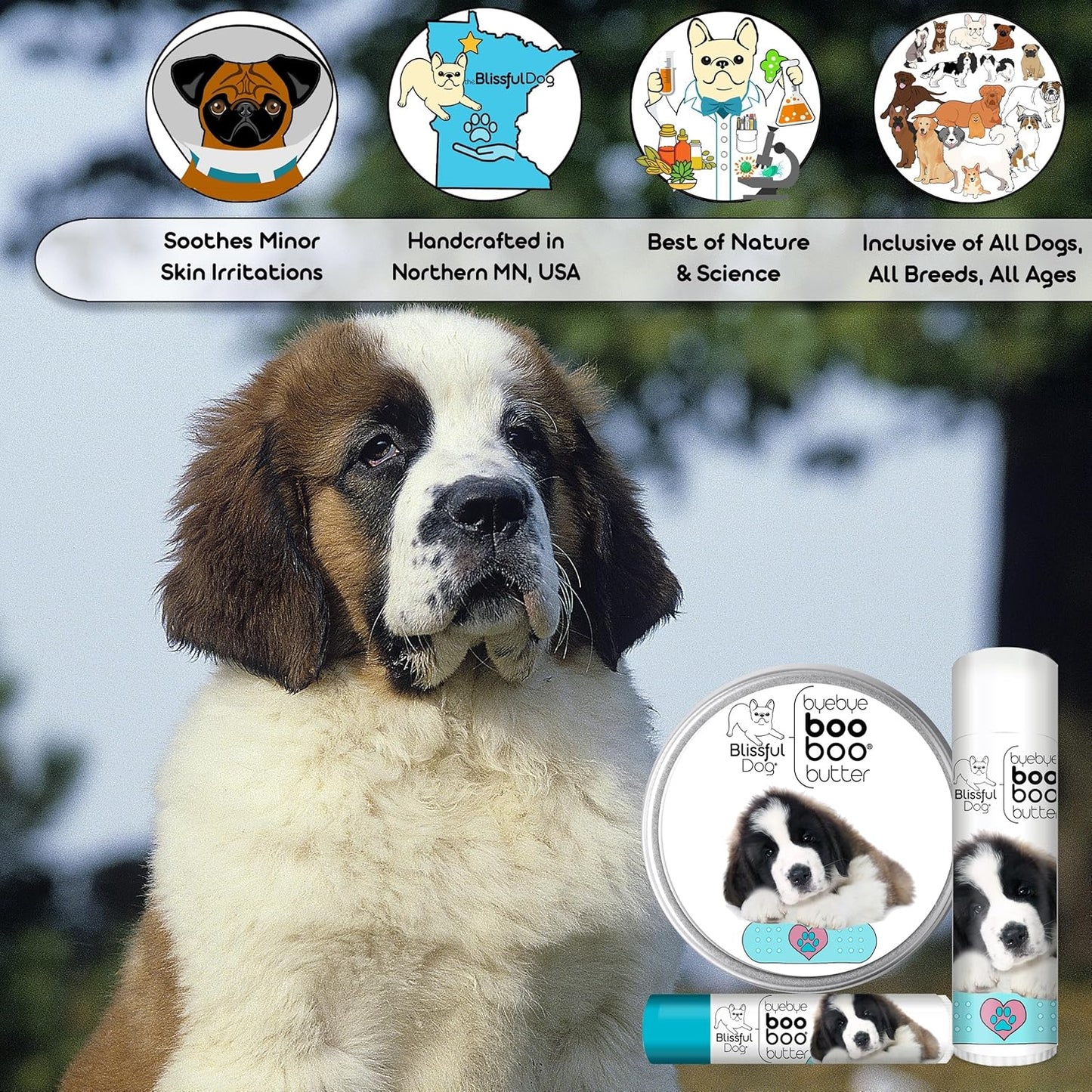 The Blissful Dog 8 oz TIN St. Bernard Booboo Butter - Pet Explorer