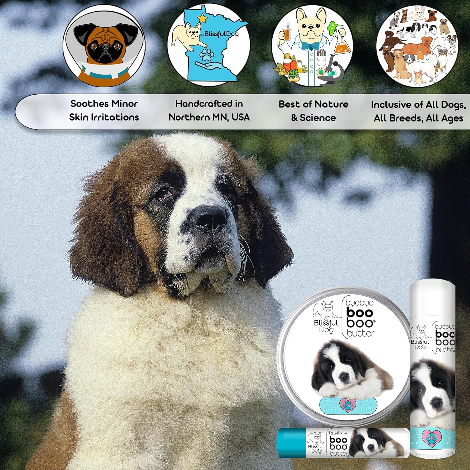 The Blissful Dog 8 oz TIN St. Bernard Booboo Butter - Pet Explorer