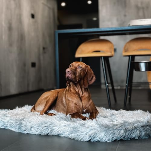 Faux Fur Orthopedic Dog Bed (Grey / Medium)