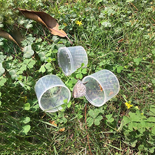 20 Pcs Bug Jars Critter Insect Cage Magnifying Insect Box Bug Magnifier Container Catcher Cage (20 Pack)