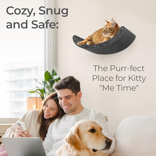 Cat Wall Shelf (Charcoal / 1 Curved Cat Climber)