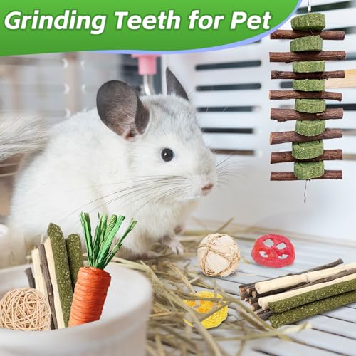 21 Piece Natural Small Pet Chew Toys Set for Rabbits (colorful)