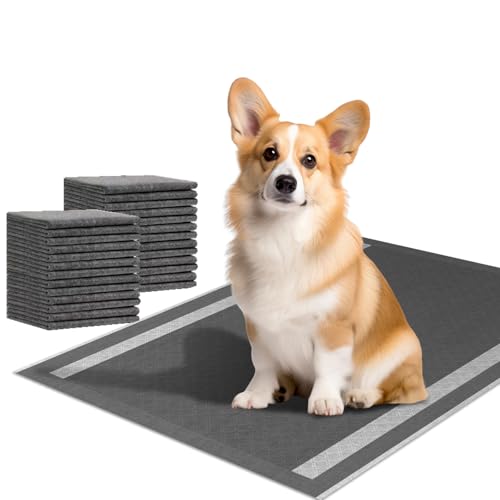 Dog and Puppy Pee Pads 100 Count (23''x30'')