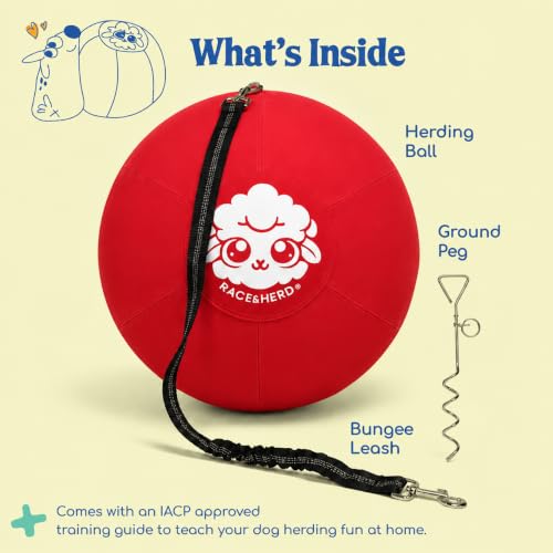22" Herding Ball for Dogs Tetherball Set Outside (Cherry - 22" Tether Ball / Tether)